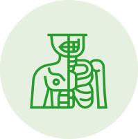 ikonka
